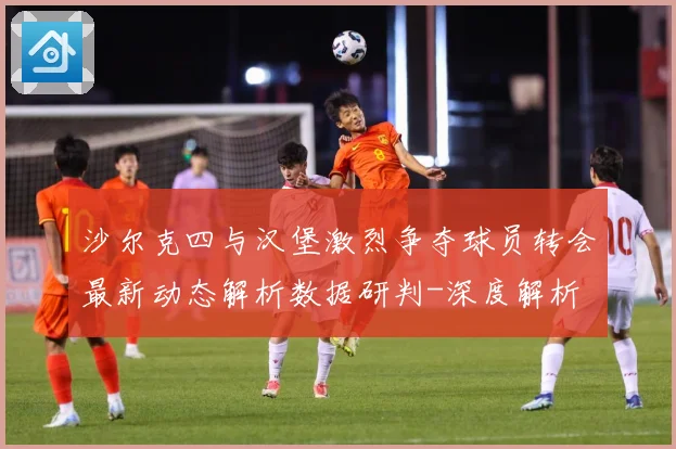沙尔克四与汉堡激烈争夺球员转会最新动态解析数据研判-深度解析