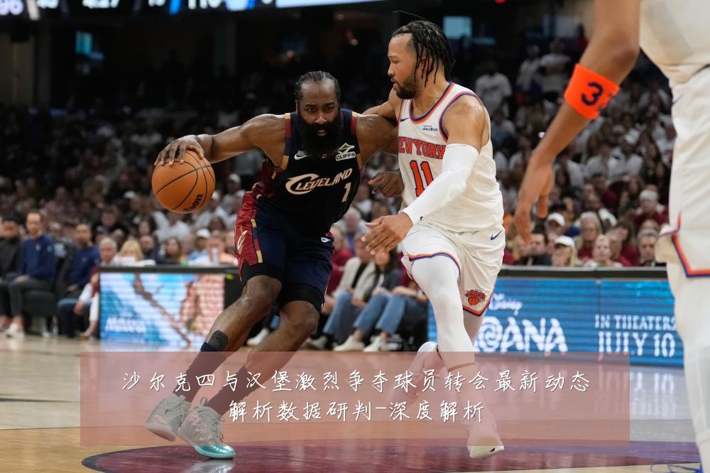 沙尔克四与汉堡激烈争夺球员转会最新动态解析数据研判-深度解析